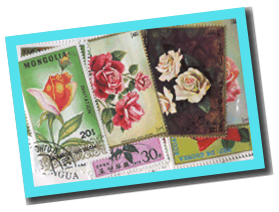 50 different ROSES on stamps :<br> Labour Day